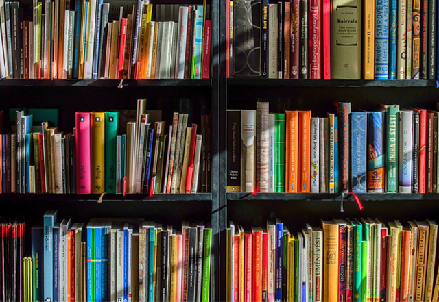 Bookshelf of books